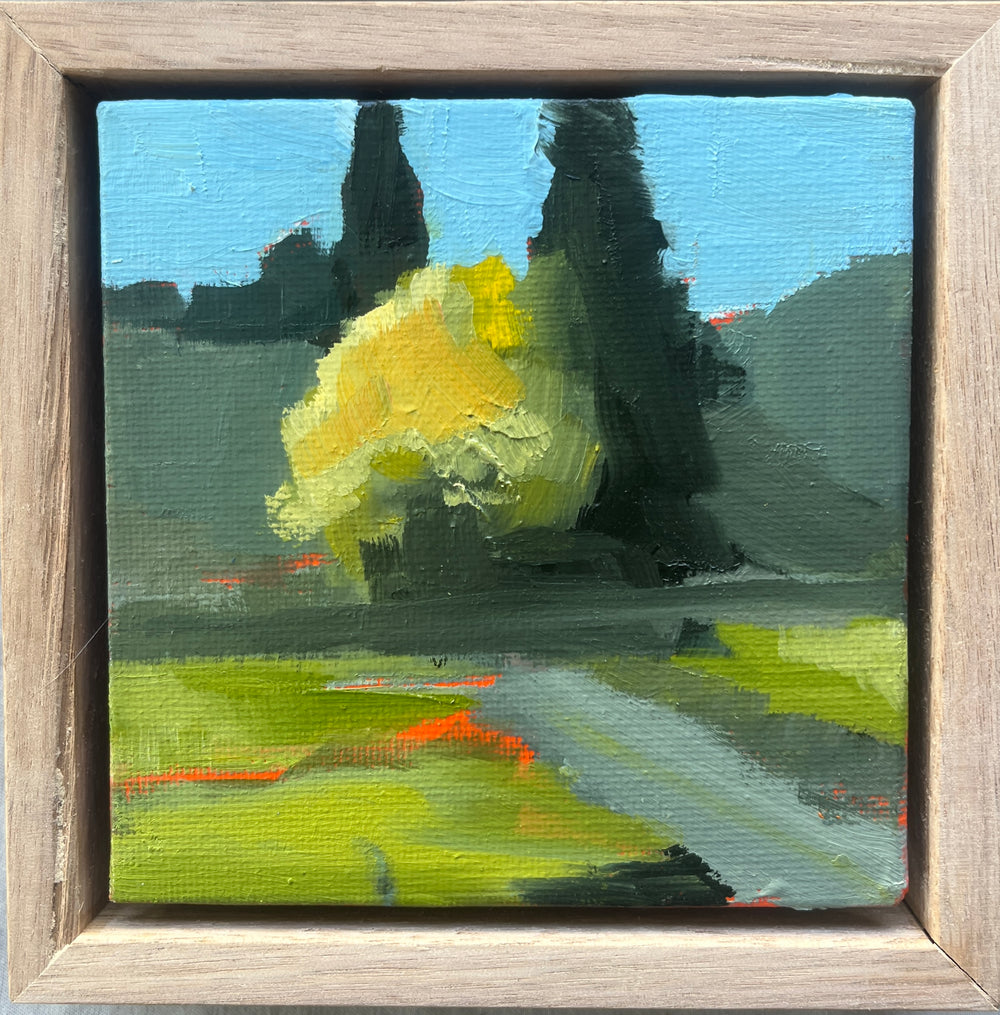 Gail McKenzie -  Tasmania in Autumn