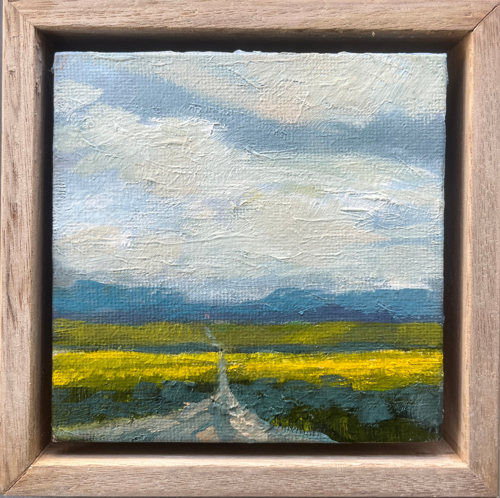 Gail McKenzie -  Harvest Time