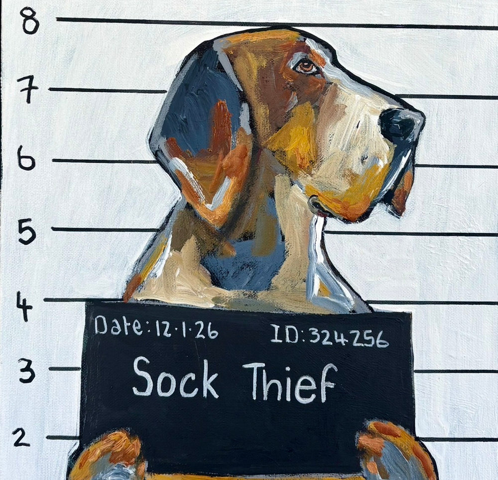 Karen Gray - Sock thief