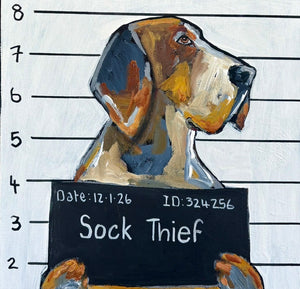 Karen Gray - Sock thief