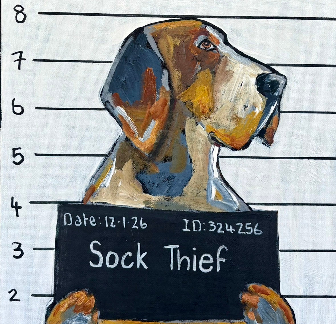 Karen Gray - Sock thief