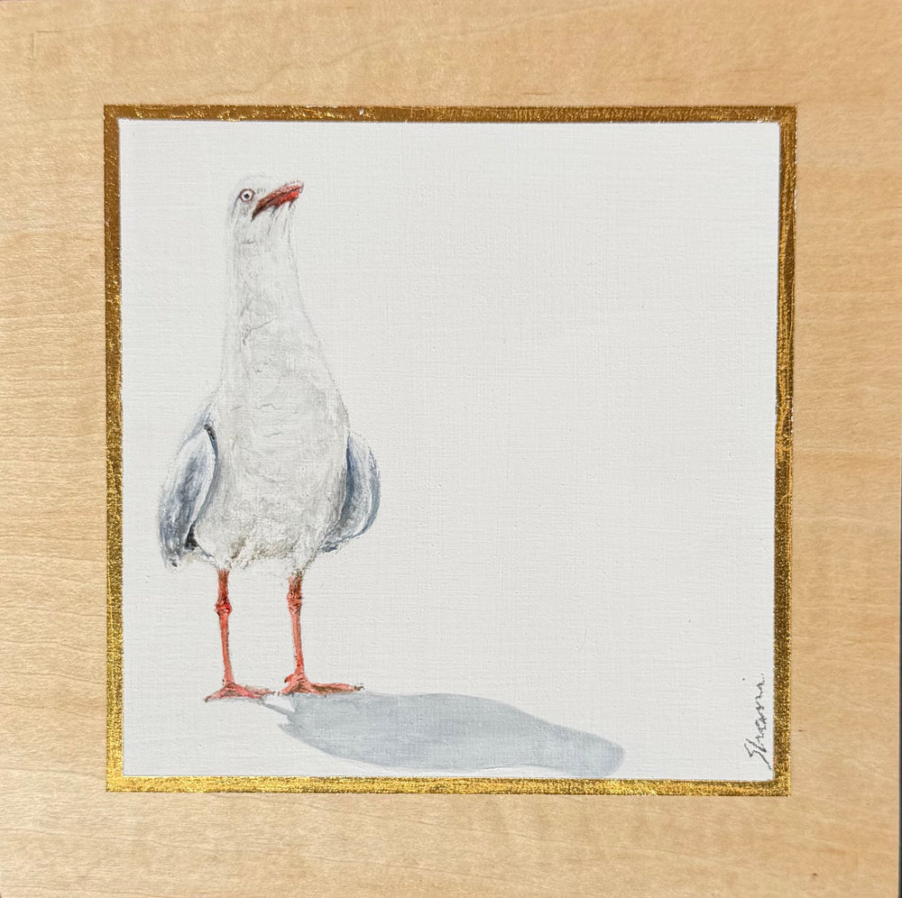 Shani White - Seagull #11