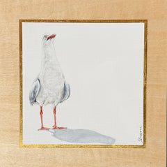 Shani White - Seagull #11
