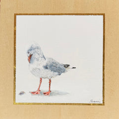 Shani White - Seagull #12