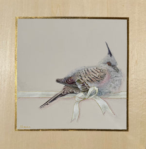 Shani White - A Rested Crested Pigeon