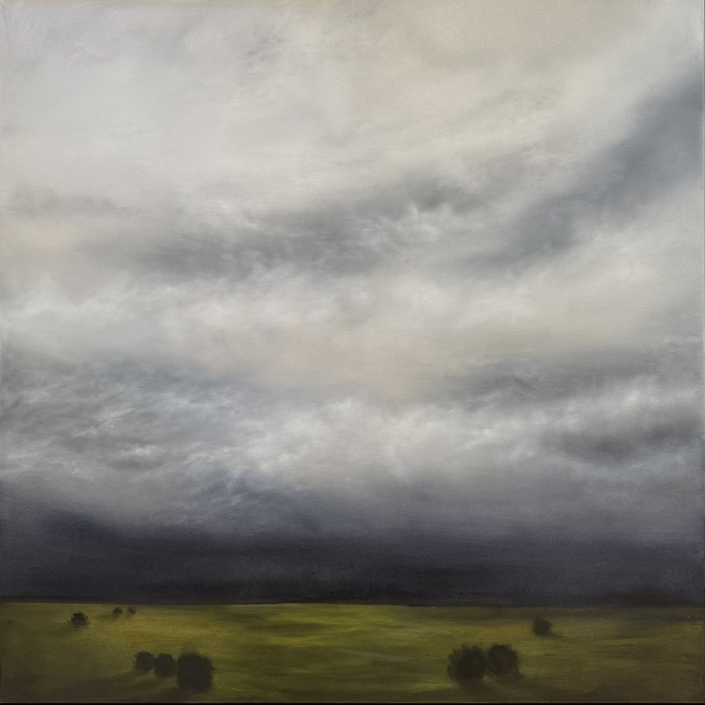 Kelly Kondis - The Horizon Misread the Storm