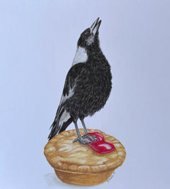 Dominique Haddin - Magpie on a Meat Pie