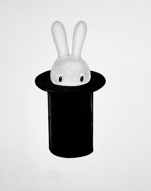 Dominique Haddin - Rabbit in a Hat