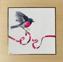 Shani White - Blush