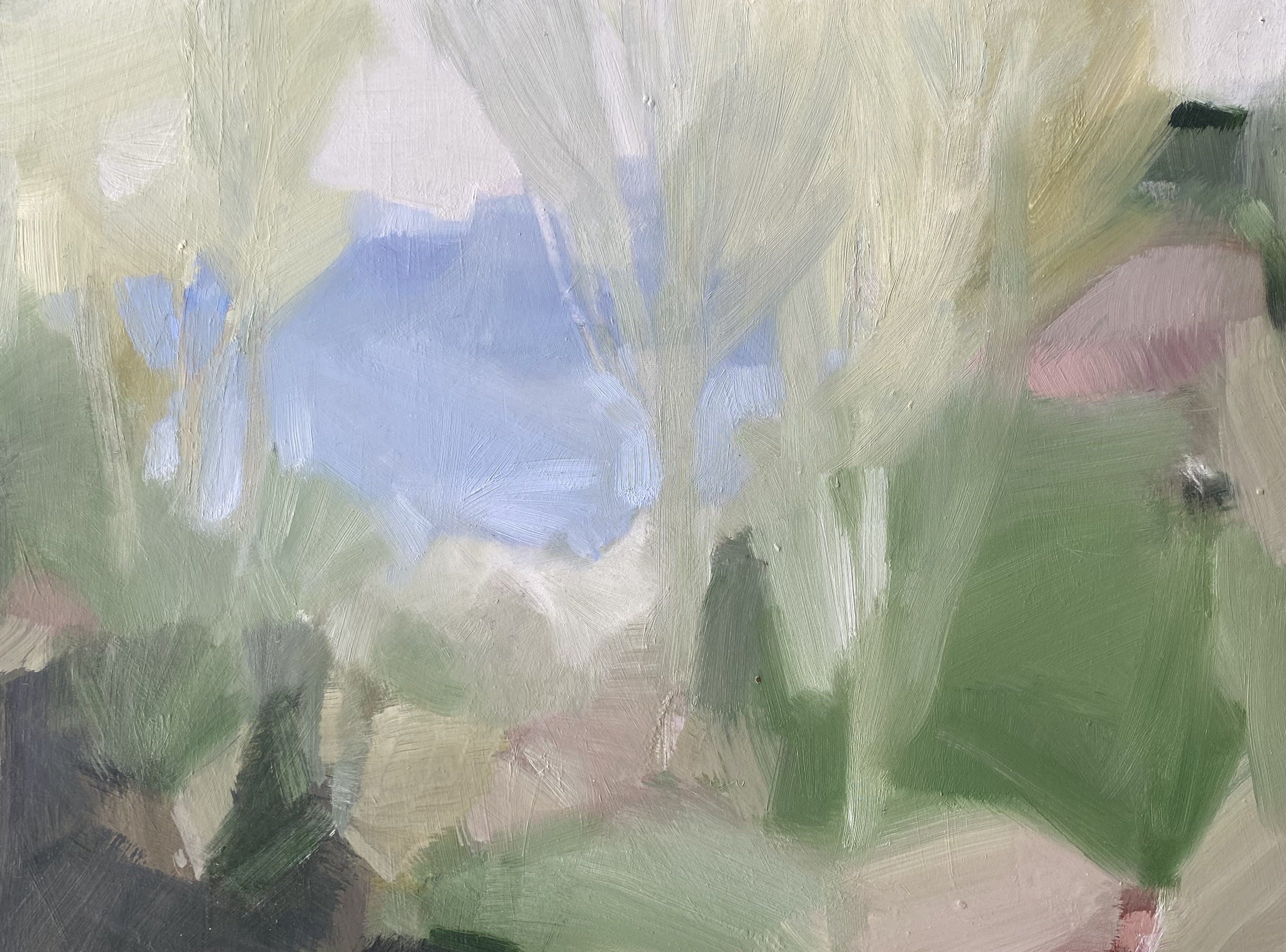 Jane Canfield - Over the Valley