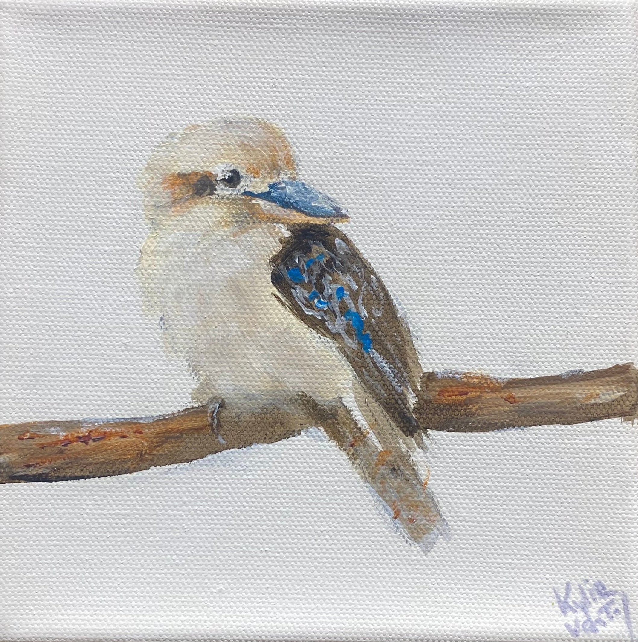 Kylie van Tol - Kookaburra 3