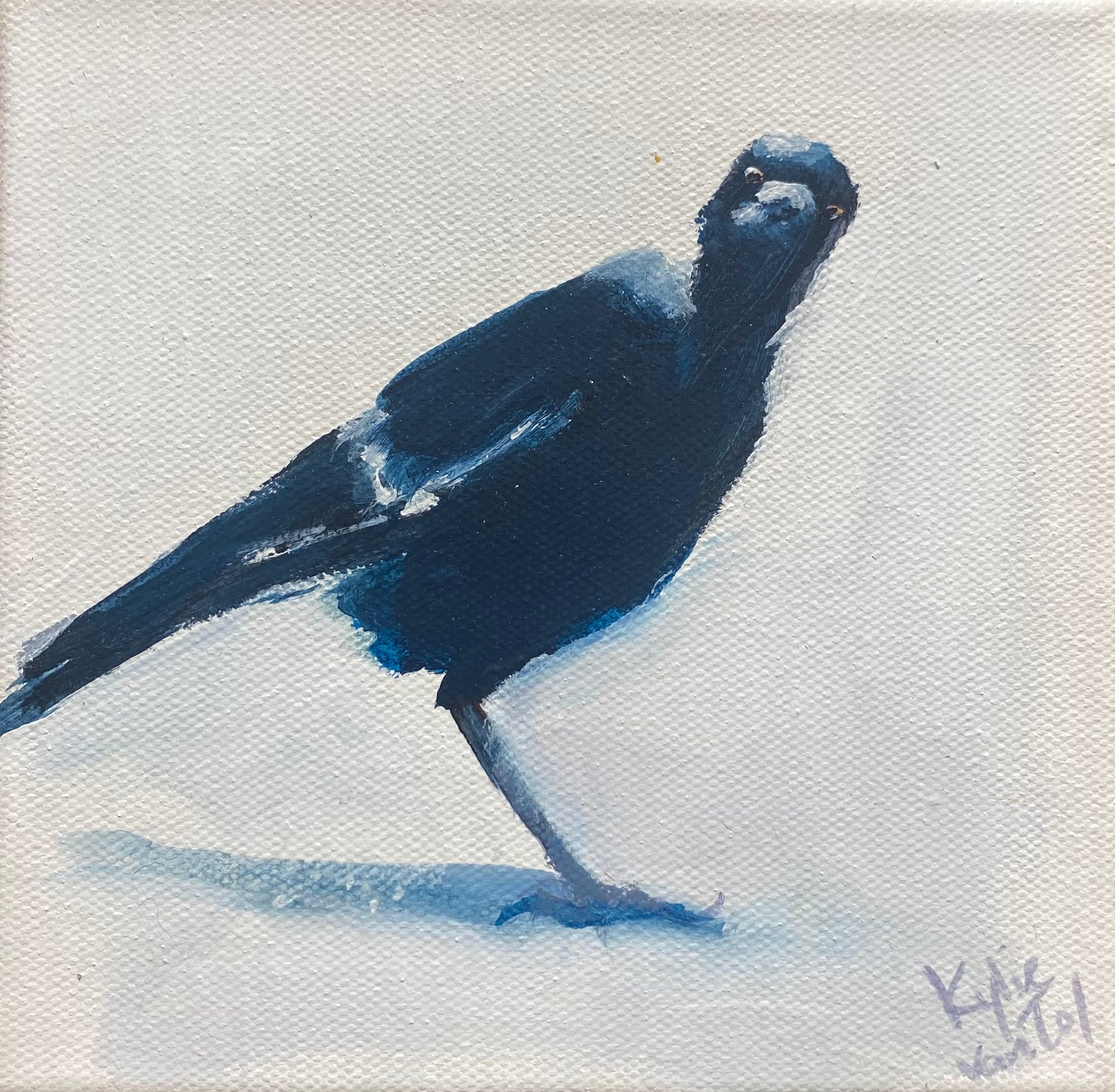 Kylie van Tol - Magpie 2