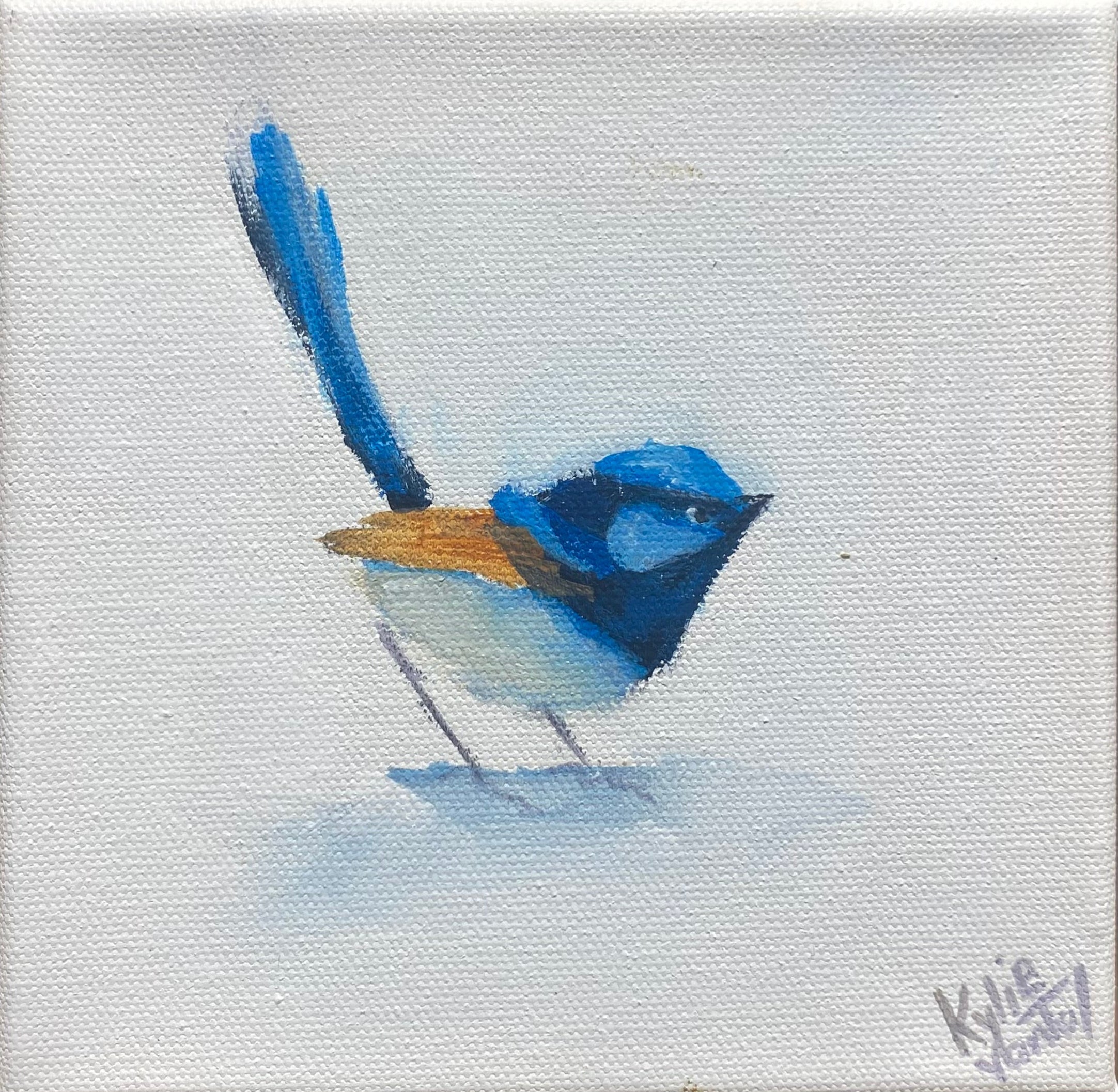 Kylie van Tol - Blue Wren 3