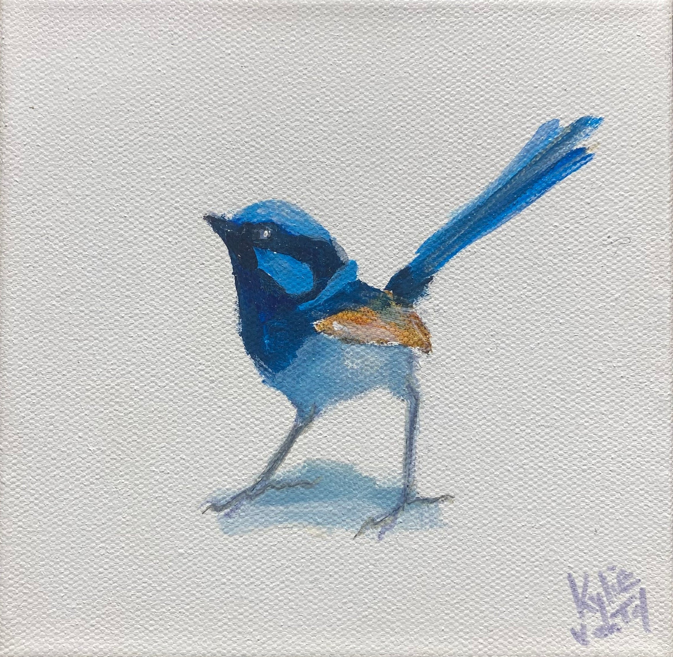 Kylie van Tol - Blue Wren 2