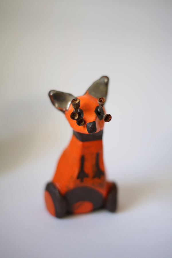 Kalyanii Holden - Kangaroo in Banksia