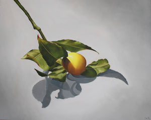 Nell Symonds - Loire