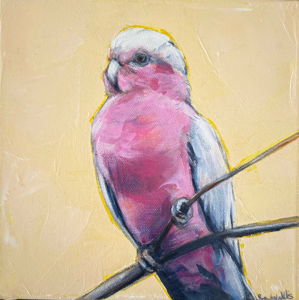 Brenda Willis - Lucent Love