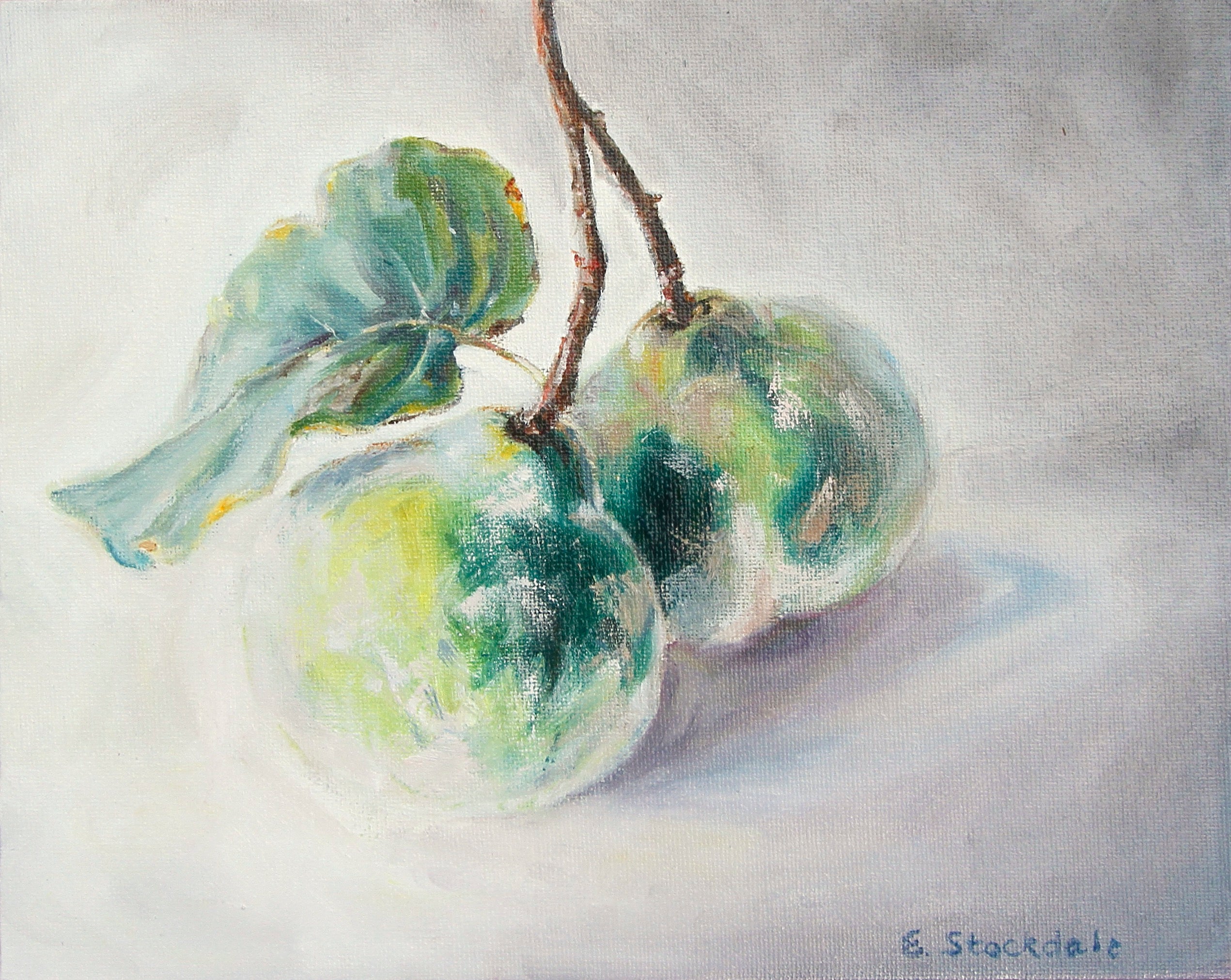 Eva Stockdale - Pair of Quinces #2