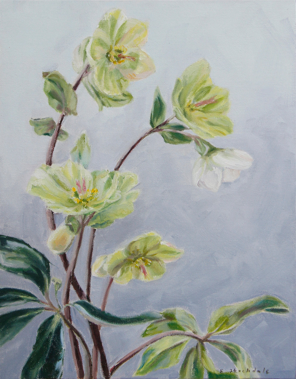 Eva Stockdale - Serenity