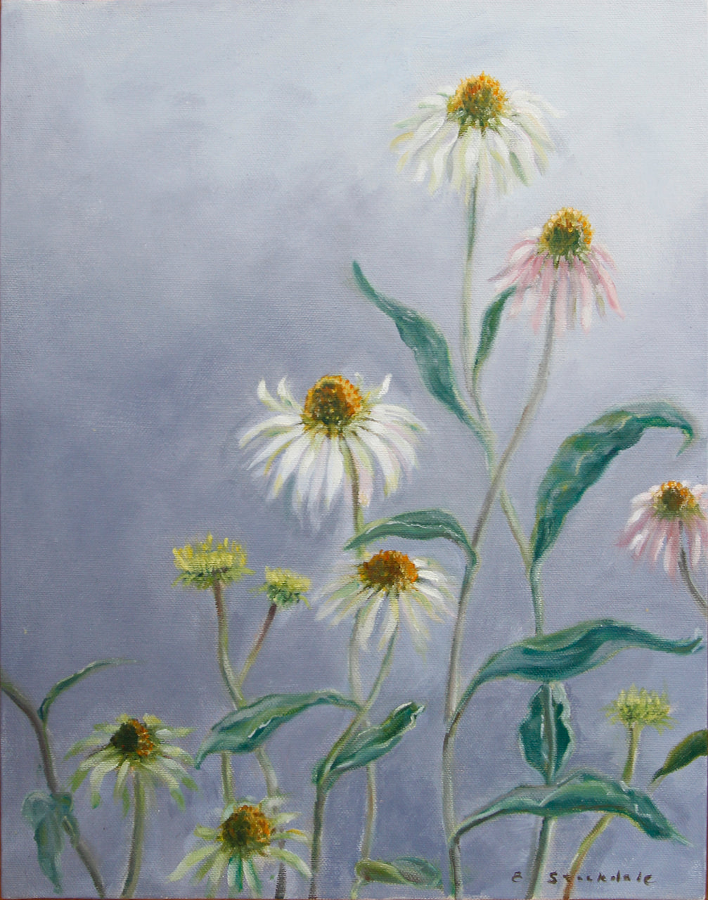 Eva Stockdale - Enchanted