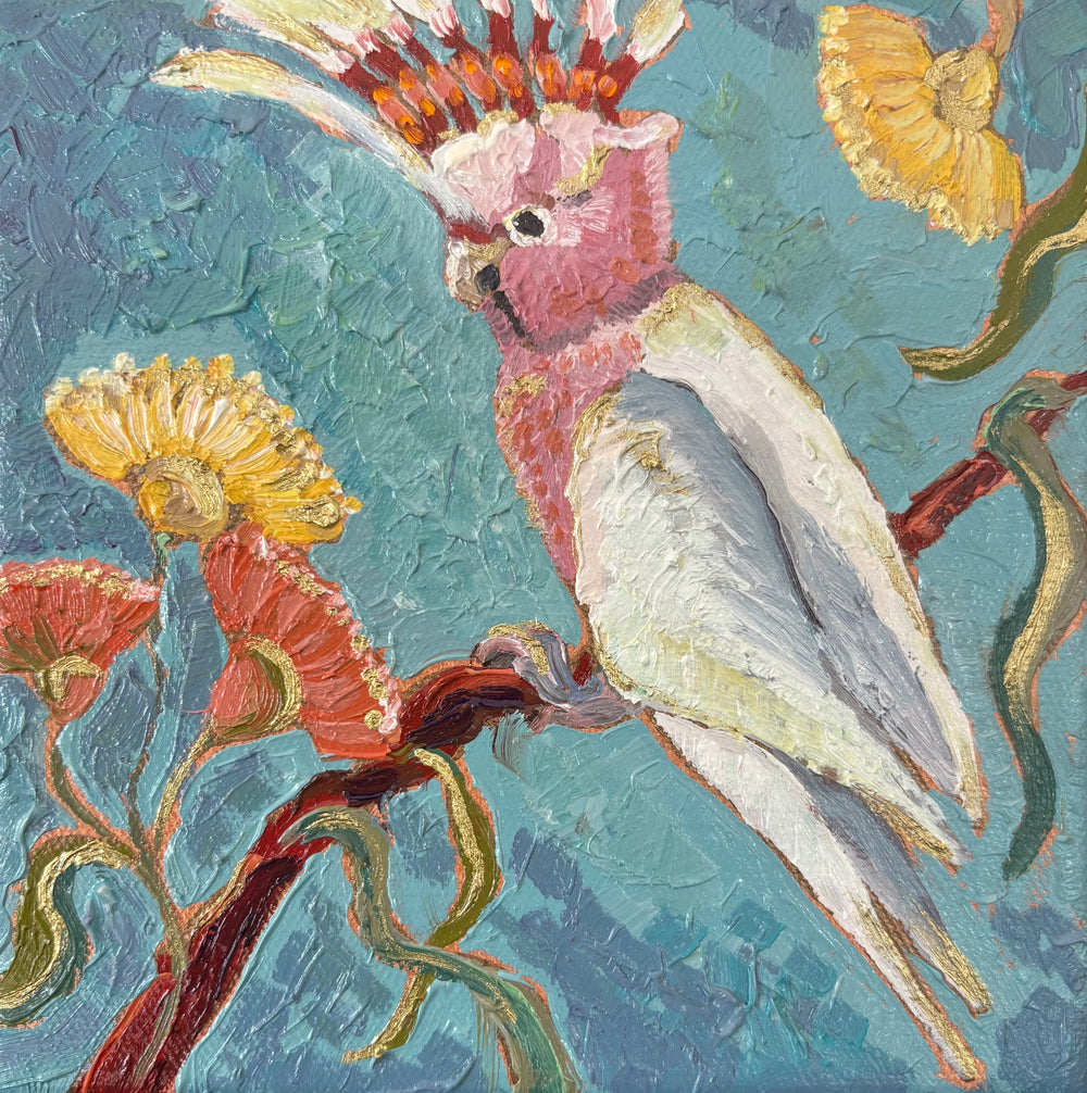 Kobie Bosch - Major Mitchell's Cockatoo