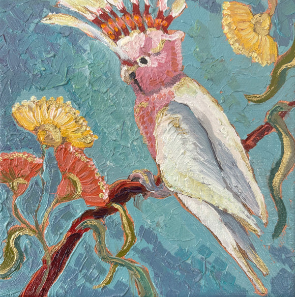 Kobie Bosch - Major Mitchell's Cockatoo