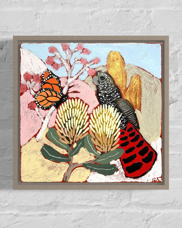 Hannah Goggs | The Moody Rabbit - Gentle Soul Red-Tail Cockatoo