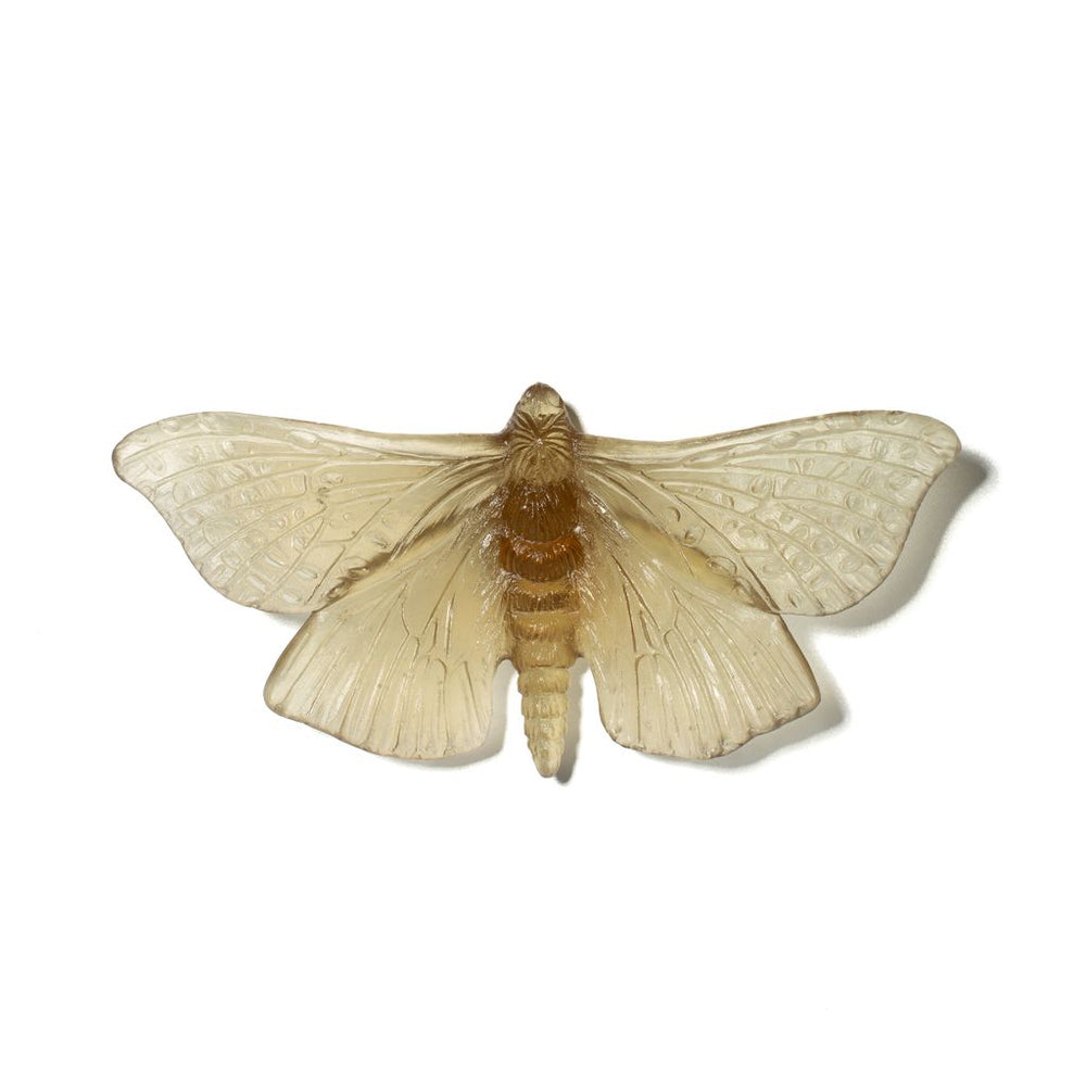 Luke Jacomb Studio - Moth (Wings Out - Bronze)
