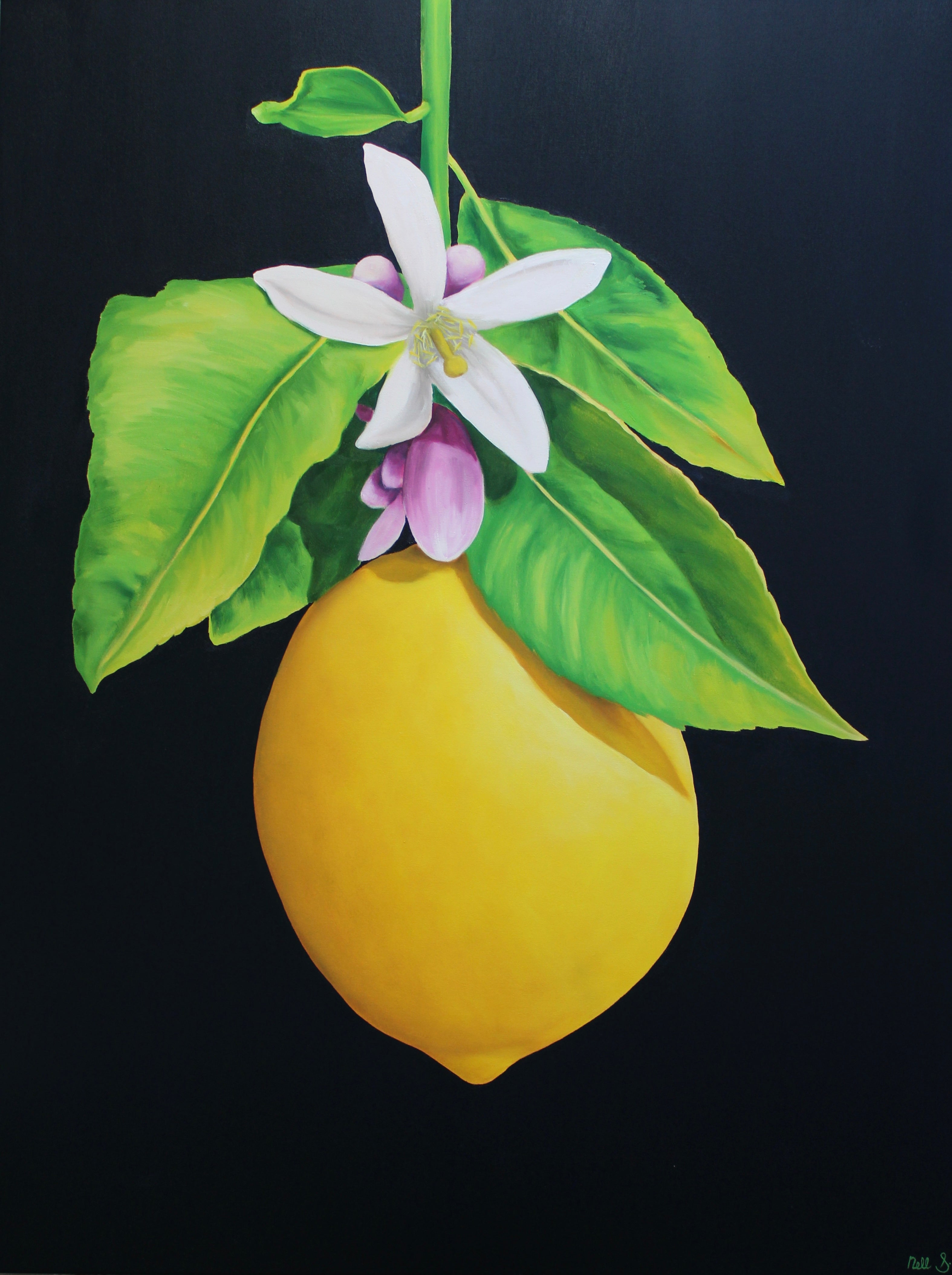 Nell Symonds - Ulysses