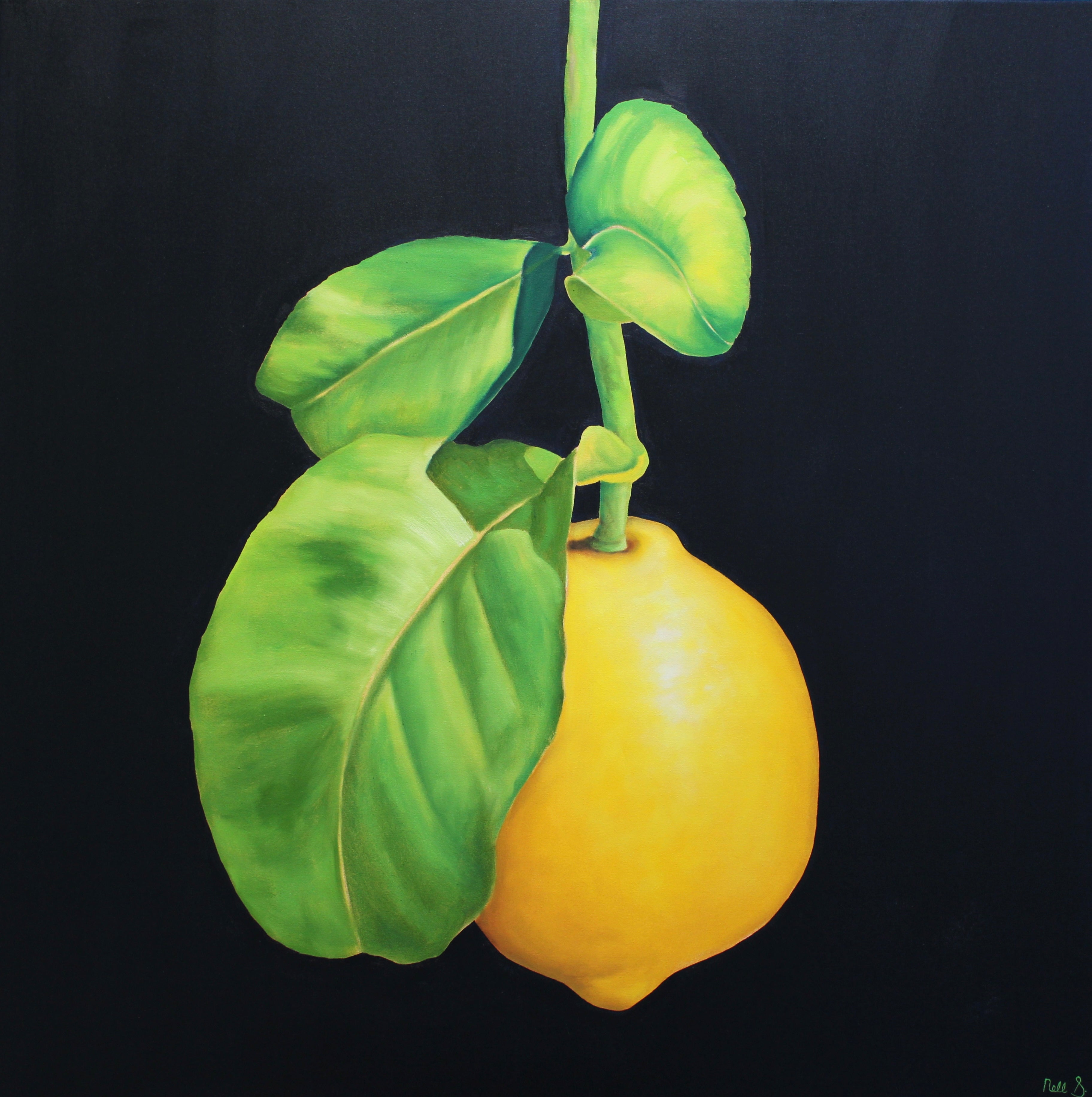 Nell Symonds - Willa