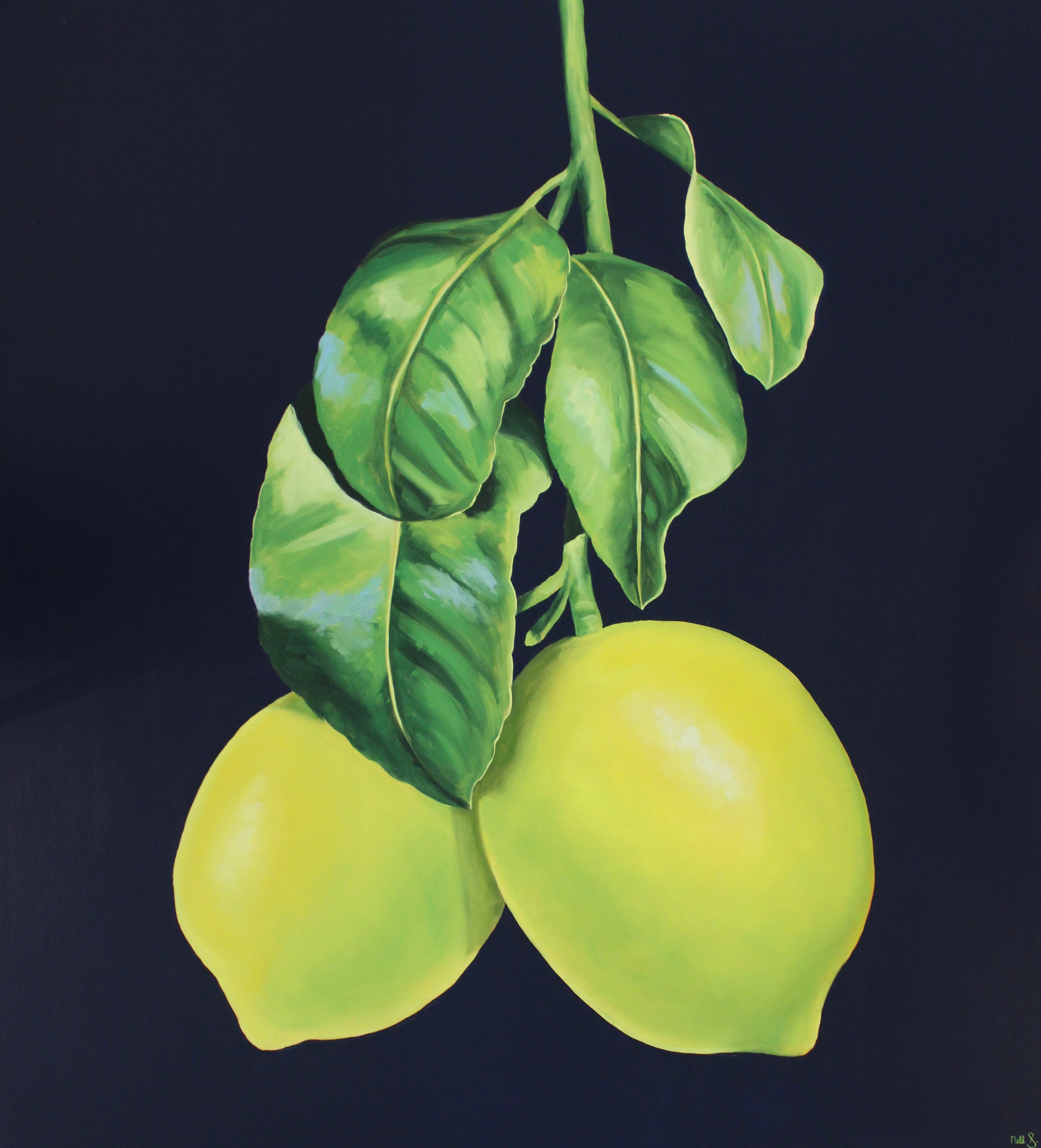 Nell Symonds - Belladonna