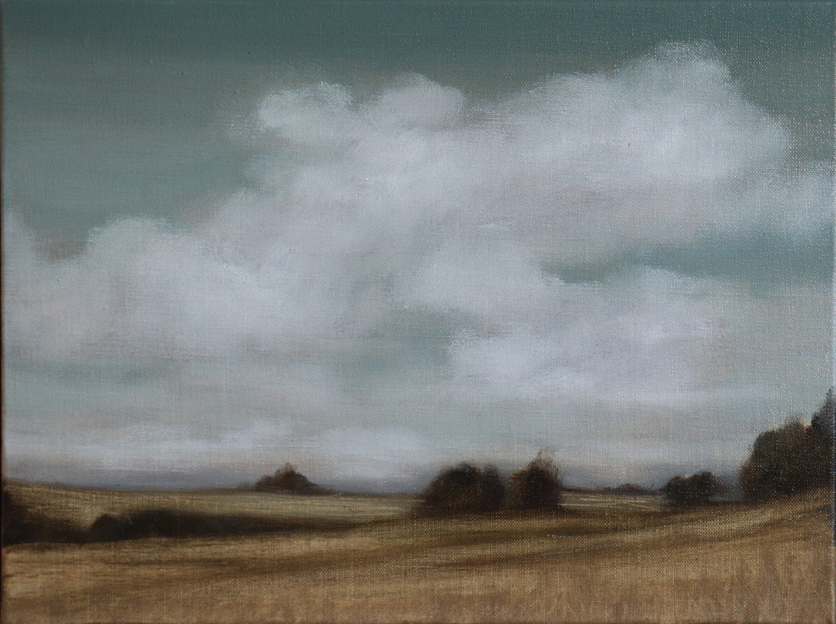 Jessica Olpp - Nuages sur les champs en été