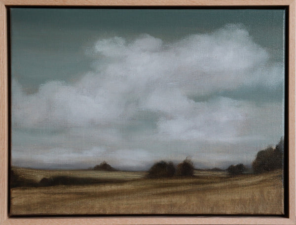 Jessica Olpp - Nuages sur les champs en été