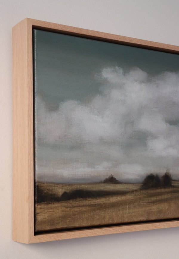 Jessica Olpp - Nuages sur les champs en été