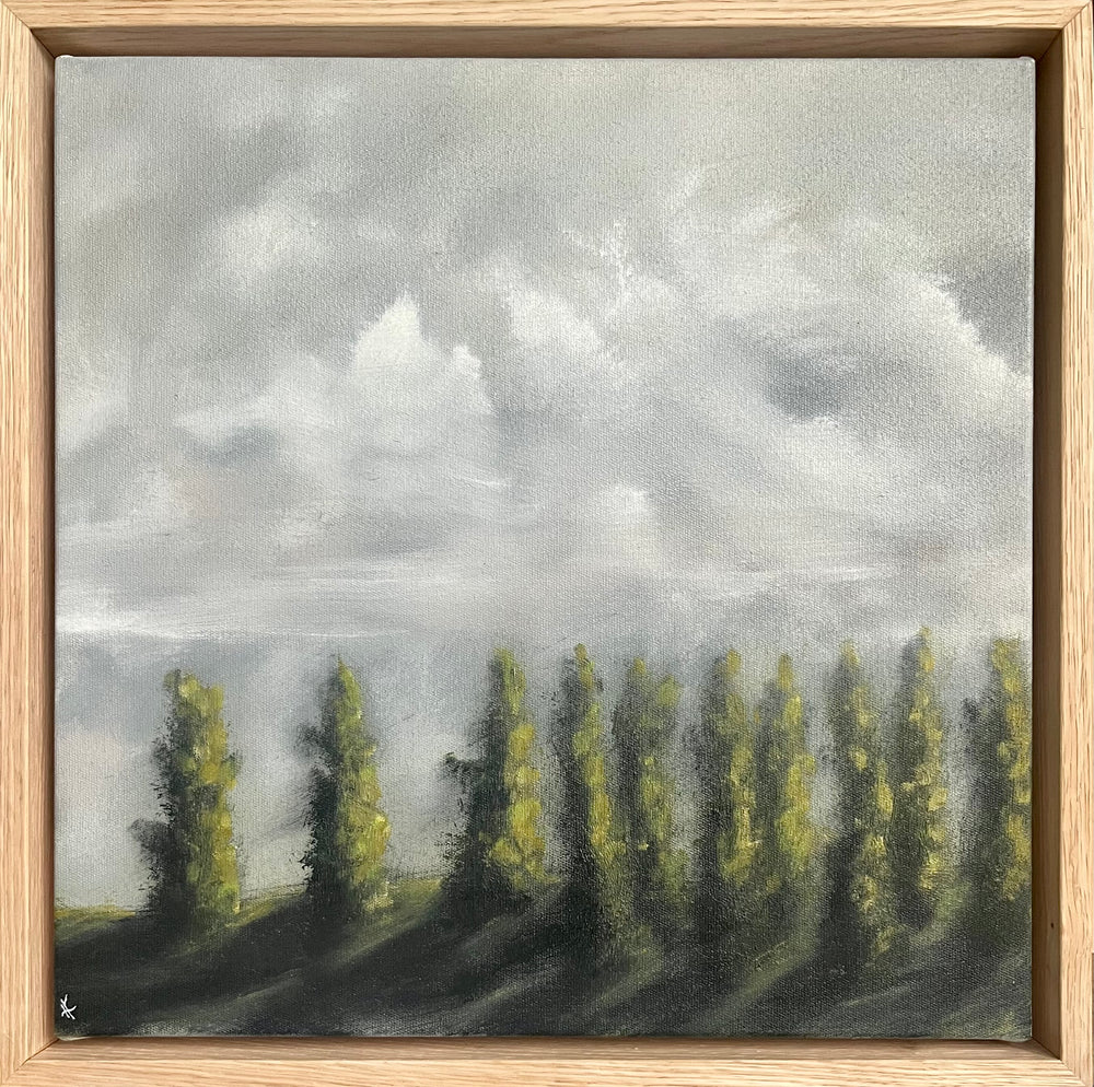 Kelly Kondis - Olinda Arboretum I