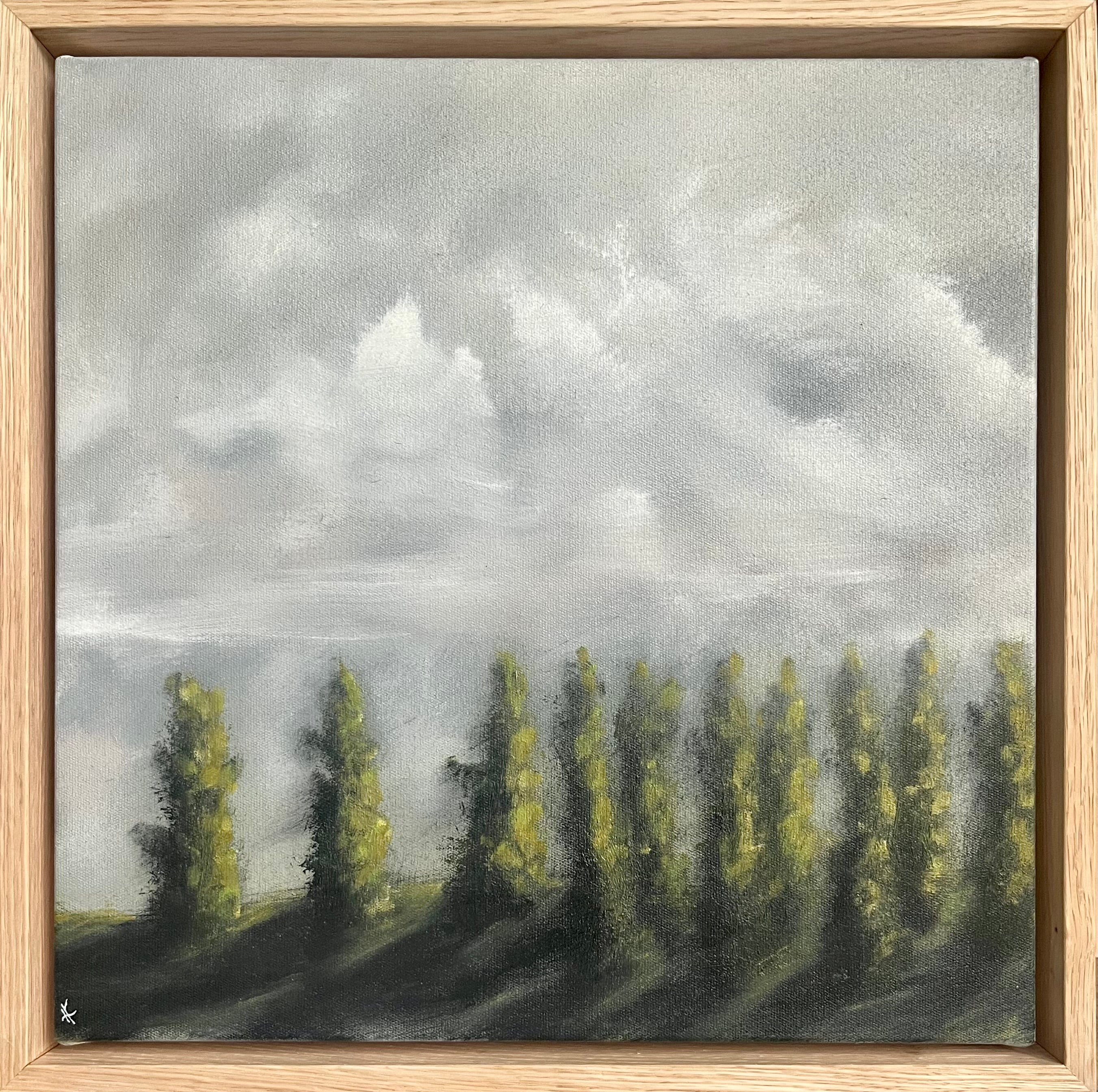 Kelly Kondis - Olinda Arboretum I