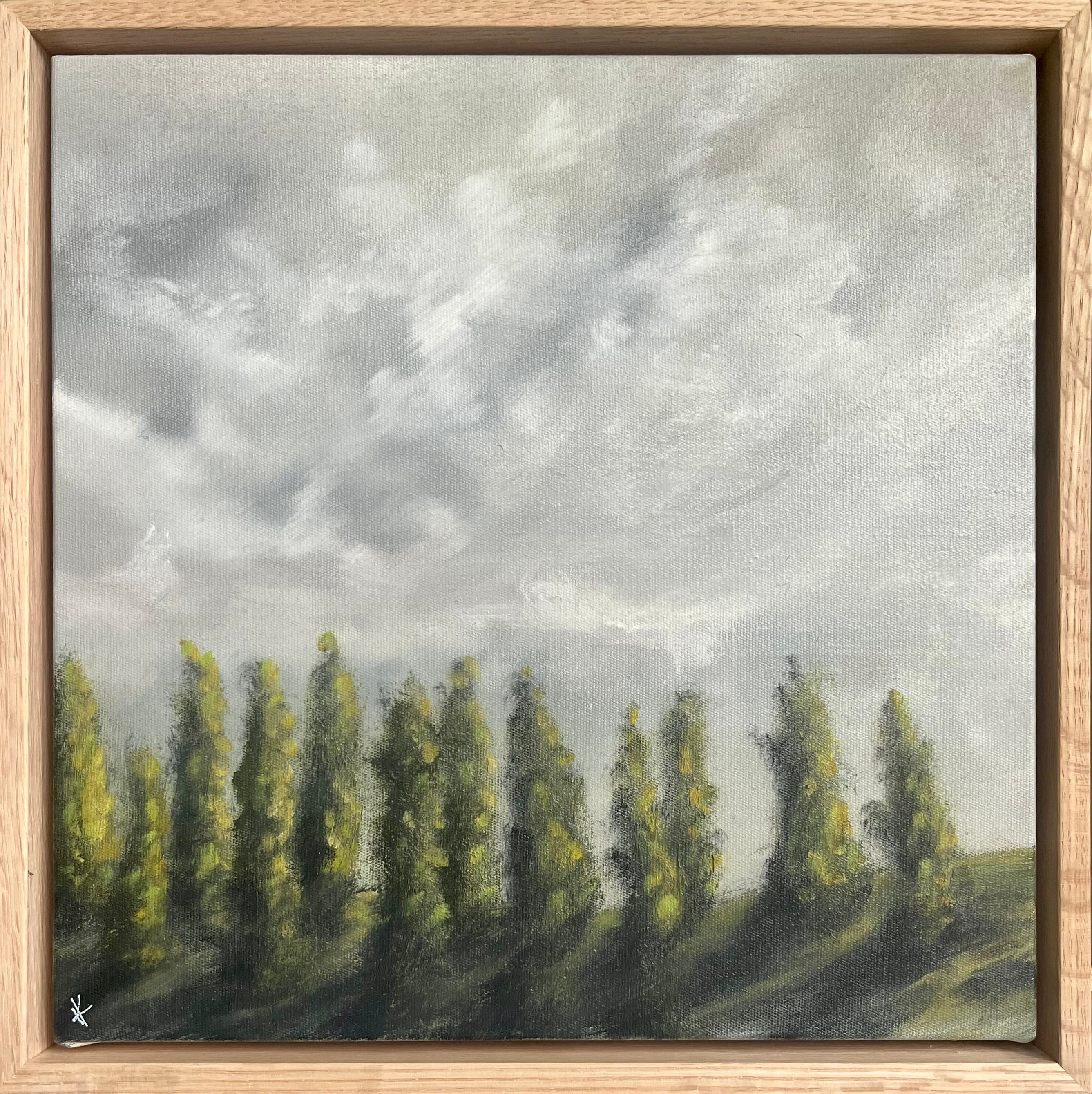 Kelly Kondis - Olinda Arboretum II