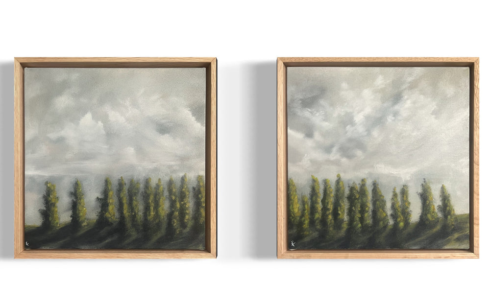 Kelly Kondis - Olinda Arboretum I