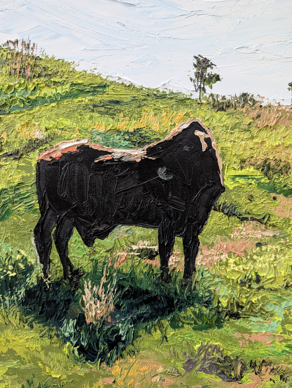 Sam Askin - A friendly face in the field