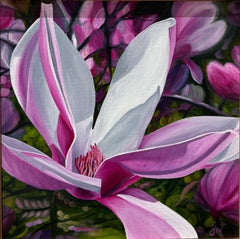 Julie Whitehead - Magnolia #11