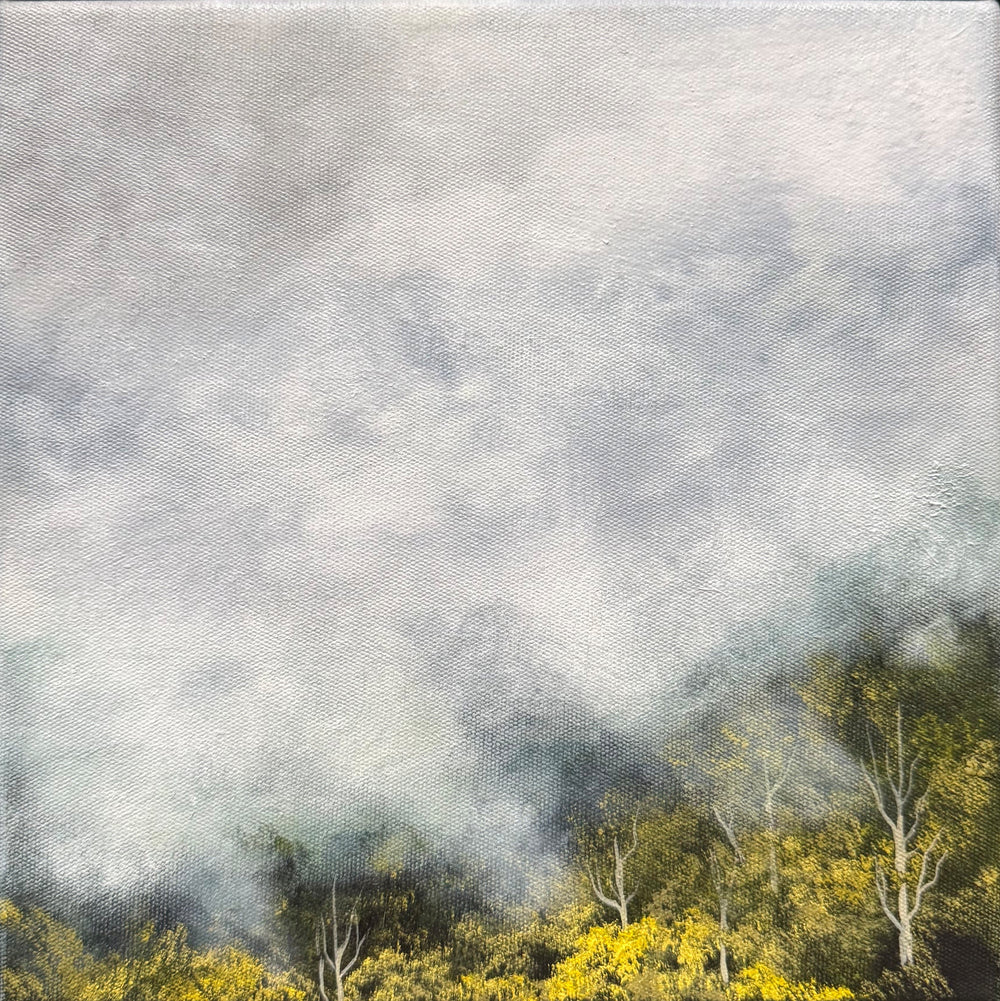 Kelly Kondis - Quell