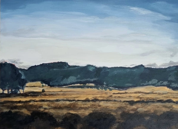 Rachel Prince  - View from Moving Car