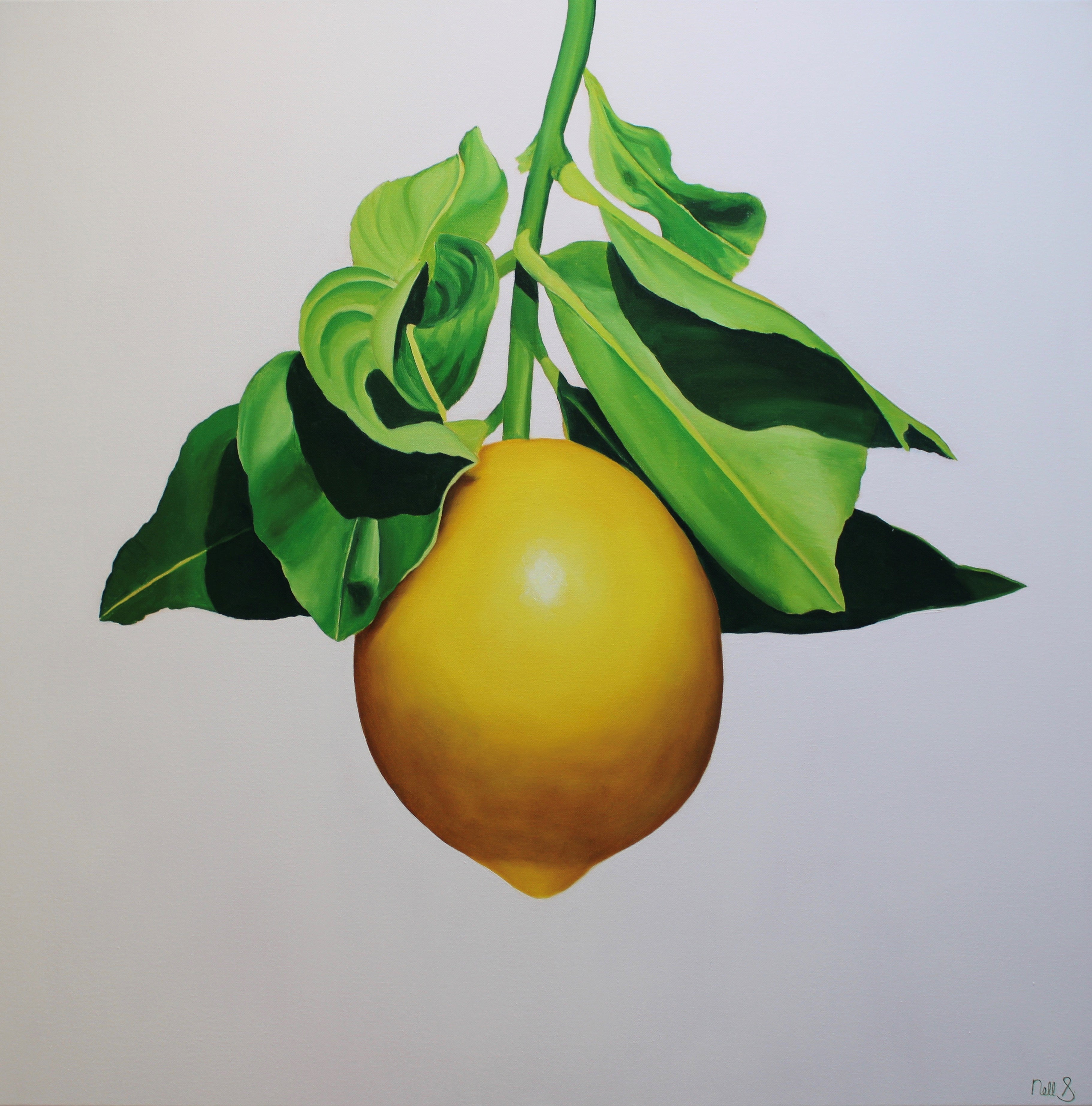 Nell Symonds - Ravinia