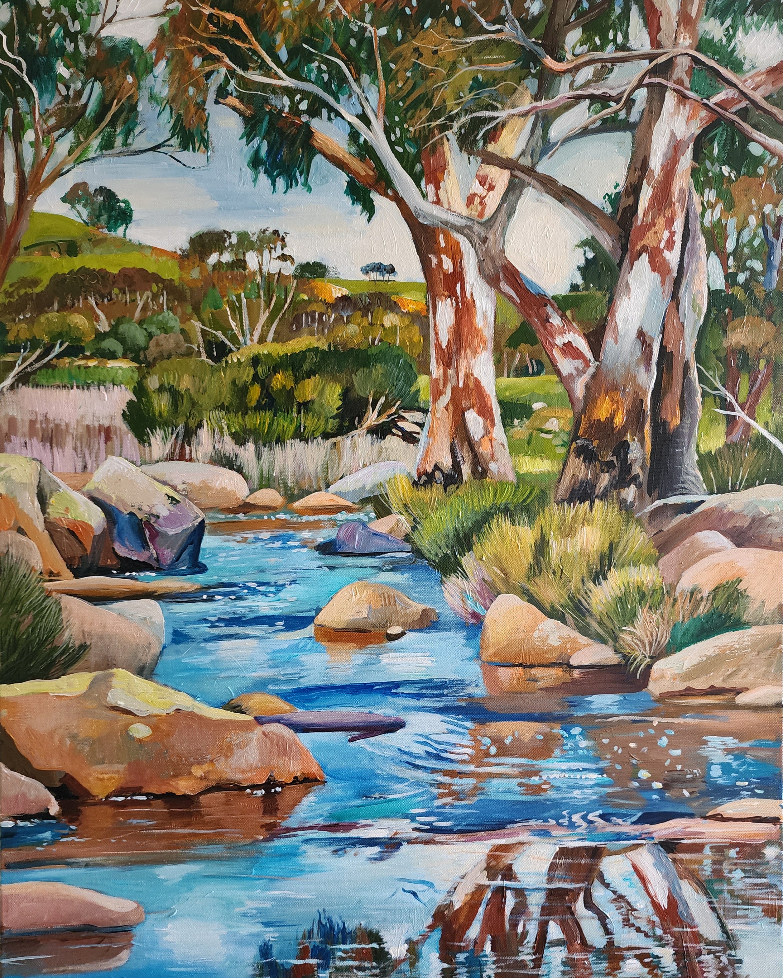 Susan Trudinger - Rocky Billabong