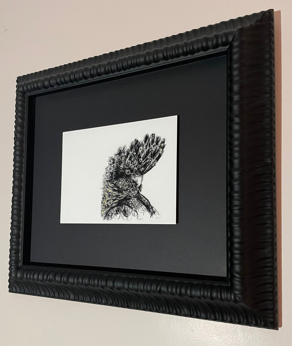 Shani White - Black Cockatoo