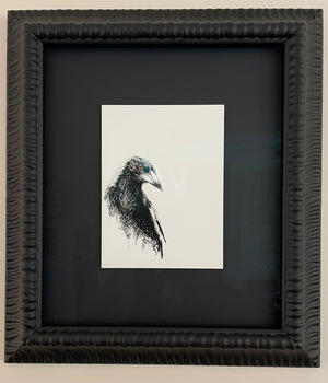 Shani White - Magpie