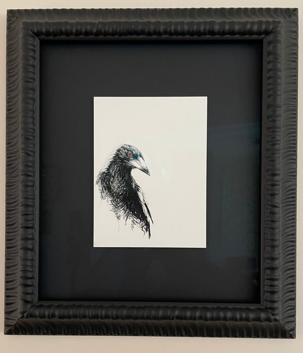 Shani White - Magpie