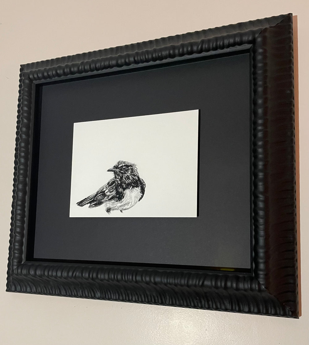 Shani White - Willie Wagtail