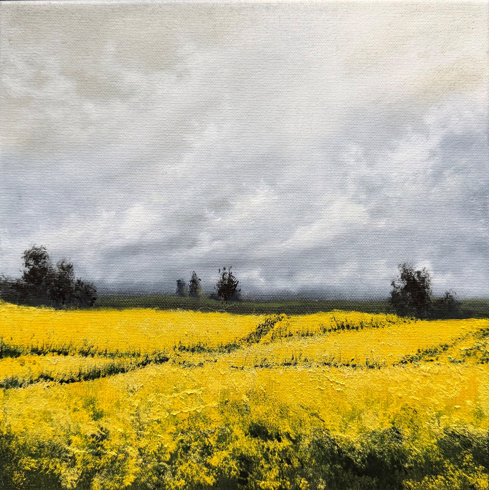 Kelly Kondis - Salient