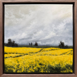 Kelly Kondis - Salient